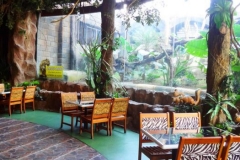 Pohon_Inn_4-750x350