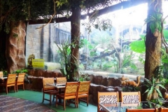 pohon-slide-3-750x350